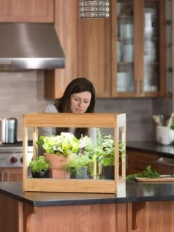 Bamboo Mini LED Grow Light Garden -The Garden Works Shop 8599624 12532 tif