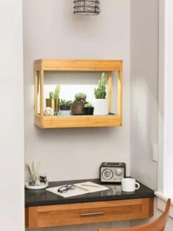 Bamboo Mini LED Grow Light Garden -The Garden Works Shop 8599624 12872 tif