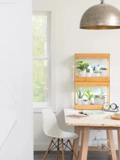 Bamboo Mini LED Grow Light Garden -The Garden Works Shop 8599624 13244 tif