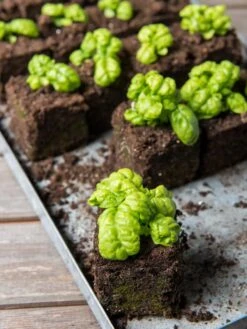 Soil Blocker, 4 Cell -The Garden Works Shop 8599790 1057 tif