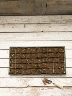 Paper Pots, 50 Cell -The Garden Works Shop 8599830 18489 tif