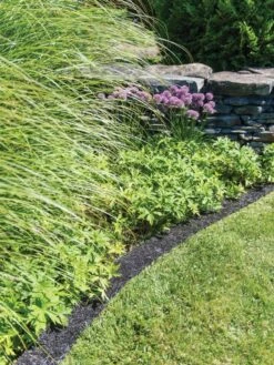 Recycled Rubber Mulch Edging, 12’ X 6” 9 Recycled Rubber Mulch Edging, 12’ X 6” -The Garden Works Shop 8599854 0897 tif