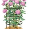 Titan Peony Supports, Large, Set Of 2 -The Garden Works Shop 8599857 0001 art tif