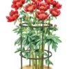 Titan Peony Supports, Medium, Set Of 2 -The Garden Works Shop 8599858 0001 art tif