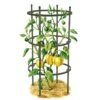 Titan Pepper Eggplant Cages, Set Of 3 -The Garden Works Shop 8599859 0001 art tif