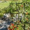 Titan Tomato Cages, Set Of 3 -The Garden Works Shop 8599861 0049 tif