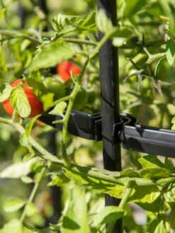 Titan Tomato Cages, Set Of 3 -The Garden Works Shop 8599861 0079 tif 1