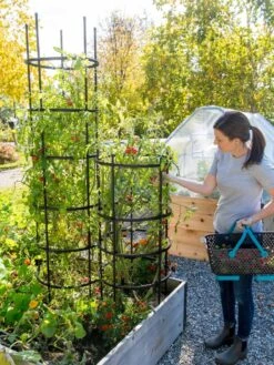 Titan Tomato Cages, Set Of 3 -The Garden Works Shop 8599861 0114 tif