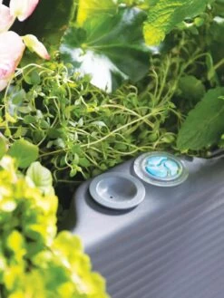 Nest Elevated Planter 18" X 36" -The Garden Works Shop 8599885 09V tif