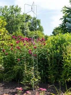 Vertex Universal Tall Tower -The Garden Works Shop 8600015 0055 tif