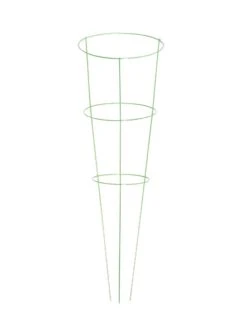 Heavy-Duty Plant Supports 42", Set Of 5 7 Heavy-Duty Plant Supports 42", Set Of 5 -The Garden Works Shop 8600029 03v heavy duty colorful plant supports 42 inch light green