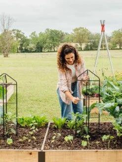 Zenith Folding Garden Supports, Set Of 2 -The Garden Works Shop 8600073 324 tif