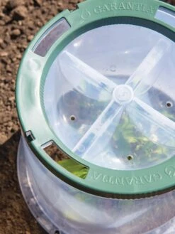 Sunny Forcing Cloches, Set Of 3 -The Garden Works Shop 8600075 0742 tif