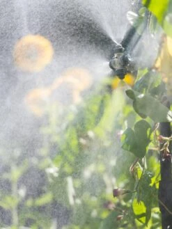 Landscape 4-Way Cooling Mist Kit, 50' -The Garden Works Shop 8600154 0695 tif