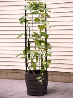 Gardener’s Victory Self-Watering Planter Garden With Vine Trellis -The Garden Works Shop 8600177 9876 tif 1