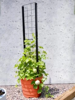 Gardener’s Victory Self-Watering Planter Garden With Vine Trellis -The Garden Works Shop 8600178 05487 tif
