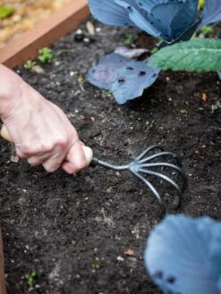 Gardener’s Lifetime 5-Tine Cultivator With Short Handle 6 Gardener’s Lifetime 5-Tine Cultivator With Short Handle -The Garden Works Shop 8600305 2974