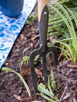 Gardener’s Lifetime Perennial Fork With Short T-Handle -The Garden Works Shop 8600311 3434 tif