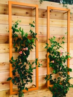 Ina Modern Wall Trellis Sr. -The Garden Works Shop 8600510 04V tif