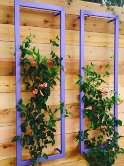 Ina Modern Wall Trellis Sr. -The Garden Works Shop 8600510 07V tif