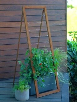 Mira Modern Garden Trellis Sr. -The Garden Works Shop 8600513 06v mira modern garden trellis sr oxide