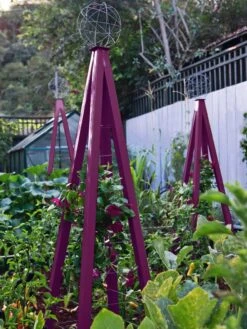 Akoris Garden Tuteur Jr. -The Garden Works Shop 8600517 01V akoris garden tuteur tif