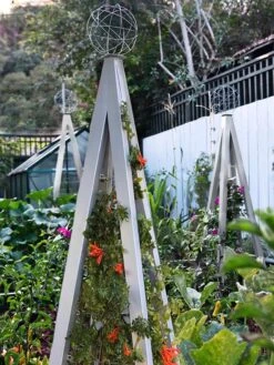 Akoris Garden Tuteur Jr. -The Garden Works Shop 8600517 07V tif