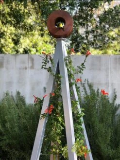 Bird Cafe + Akoris Garden Tuteur Jr. -The Garden Works Shop 8600525 07v