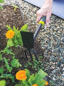 Gardener's 2-in-1 Short Handle Hoe And Cultivator -The Garden Works Shop 8608657 19474 tif
