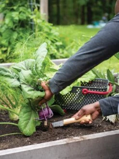 Gardener's Lifetime Hori Hori Knife -The Garden Works Shop 8608888 0422 tif