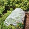Easy Plastic Garden Tunnel -The Garden Works Shop 8609052 0405 tif