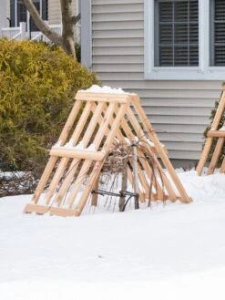 Cedar Shrub Guard -The Garden Works Shop 8609071 3531 cedar shrub guard