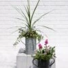 Metal Bucket Planters -The Garden Works Shop 8609086 5623 tif