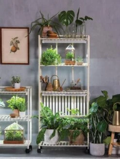 Oslo 4-Tier LED Grow Light Garden -The Garden Works Shop 8609188 4118 tif