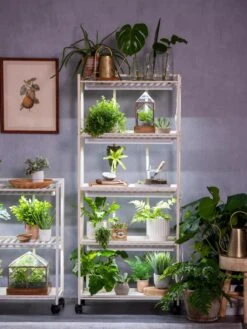 Oslo 4-Tier LED Grow Light Garden -The Garden Works Shop 8609220 4116 tif