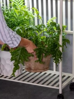 Oslo 2-Tier LED Grow Light Garden, 2 Fixtures -The Garden Works Shop 8609220 4122 tif