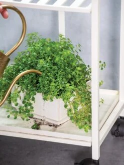 Oslo 2-Tier Plant Stand With Folding Shelves -The Garden Works Shop 8609220 4137 tif