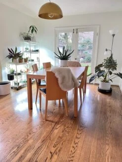 Oslo 2-Tier LED Grow Light Garden, 2 Fixtures -The Garden Works Shop 8609221 01IN tif