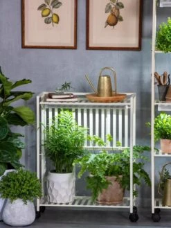 Oslo 2-Tier LED Grow Light Garden, 2 Fixtures -The Garden Works Shop 8609221 7236 tif