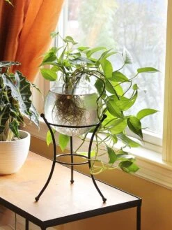 Achla Designs Multi Use Stand 11 Achla Designs Multi Use Stand -The Garden Works Shop 8609343 01v achla designs multi use stand