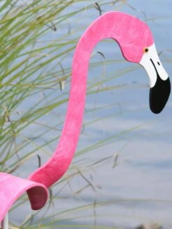 Florida Dancing Birds®, Flamingos 7 Florida Dancing Birds®, Flamingos -The Garden Works Shop 8609442HP 02V jpg