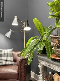 Adjustable 3-Arm Grow Lamp -The Garden Works Shop 8609868 01IN tif