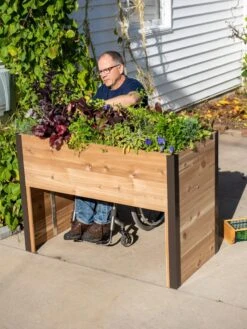 Wheelchair Accessible Elevated Garden Bed -The Garden Works Shop 8609874 0314 tif