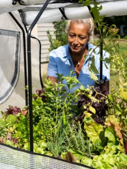 VegTrug®Patio Garden Greenhouse Cover Kit -The Garden Works Shop 8610172 1256