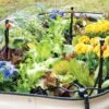 Raised Bed Bubblers Irrigation Kit