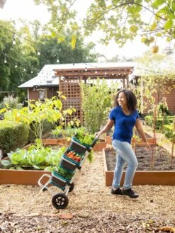 Mod Hod Trolley With Teal Mod Hods -The Garden Works Shop 8610240 0070 tif