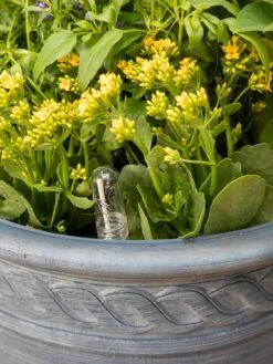 Adjustable Self-Watering Insert For Pots And Planters -The Garden Works Shop 8610250 0010 tif