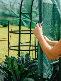 Maxi Garden Hoops With Clips -The Garden Works Shop 8610372 368 tif