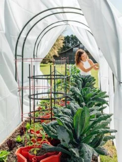 Maxi Garden Hoops With Clips -The Garden Works Shop 8610373 377 tif