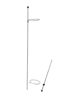 Peacock Mini Plant Support Rings 4", Set Of 2 -The Garden Works Shop 8610386 9566